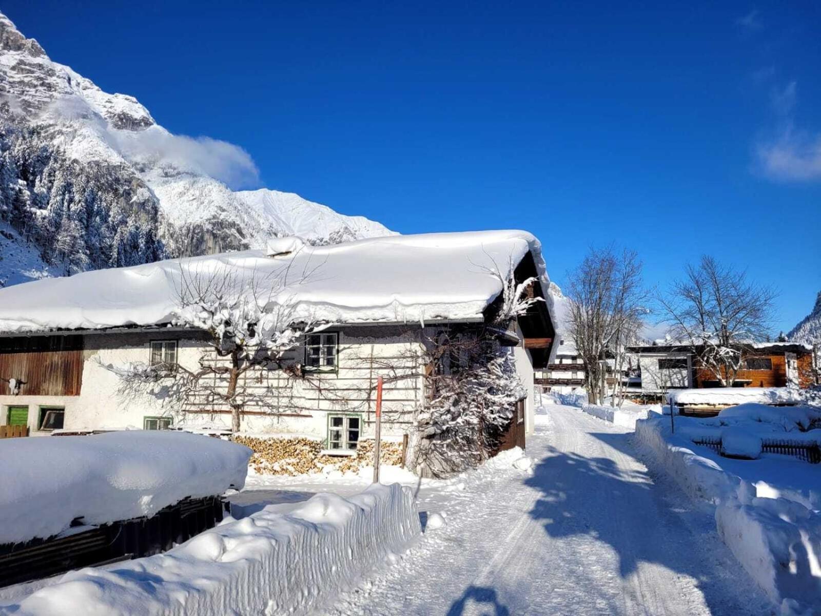 Alpenchalet Im Leutaschtal Exterior photo